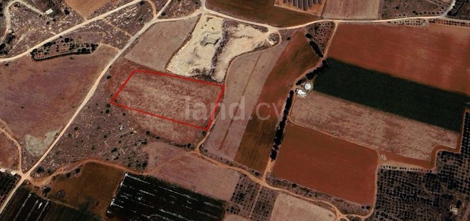 Agricultural plot for sale in Avgorou