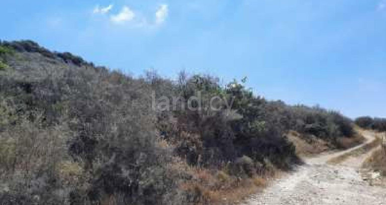 Campo agrícola a la venta en Larnaca
