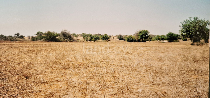 Landwirtschaftliches Baugebiet in Larnaca zu verkaufen