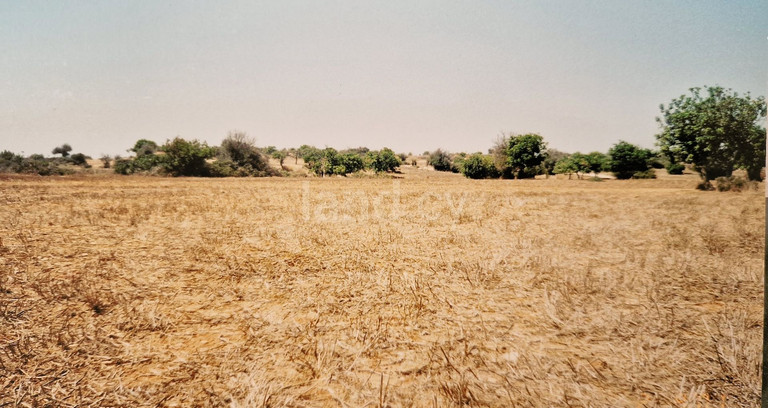 Terrain agricole à vendre à Larnaca