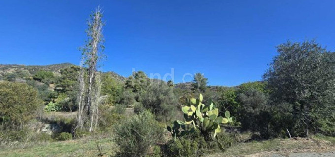 Residential field for sale in Larnaca