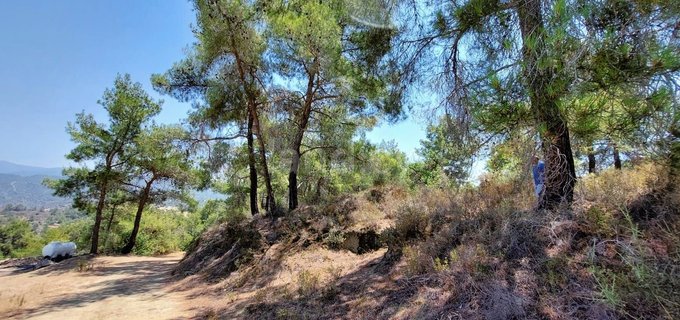 Landwirtschaftliches Baugebiet in Paphos zu verkaufen