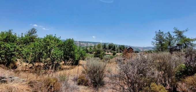 Agricultural field for sale in Paphos