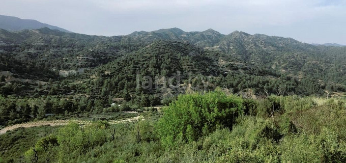 Terrain agricole à vendre à Limassol