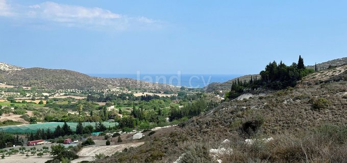 Terrain agricole à vendre à Limassol