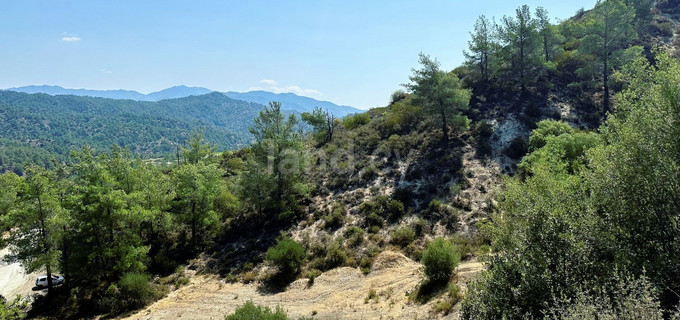 Αγροτικό αγροτεμάχιο προς πώληση - Λεμεσός