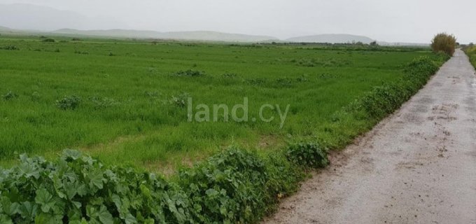 Αγροτικό αγροτεμάχιο προς πώληση - Λευκωσία