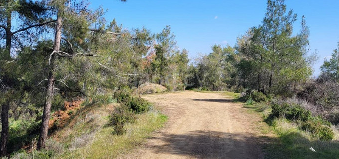 Landwirtschaftliches Baugebiet in Nicosia zu verkaufen