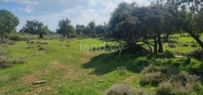 Landwirtschaftliches Baugebiet in Limassol zu verkaufen