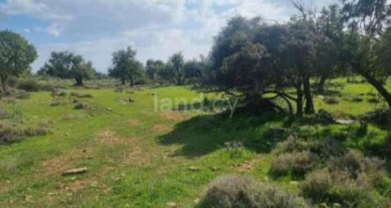 Αγροτικό αγροτεμάχιο προς πώληση - Λεμεσός