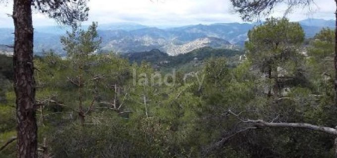 Agricultural field for sale in Limassol