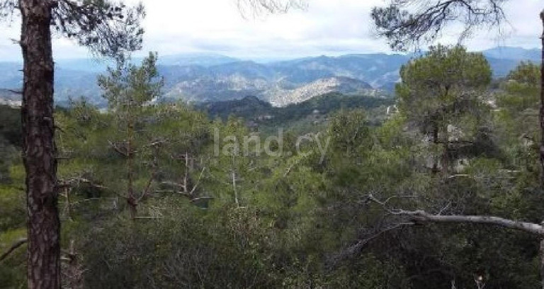 Agricultural field for sale in Limassol