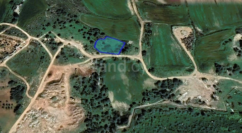 Agricultural field for sale in Protaras