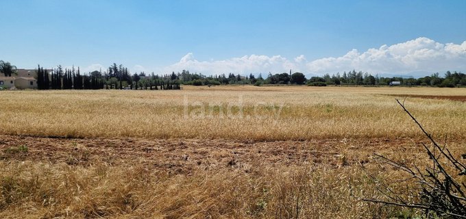 Residential field for sale in Nicosia