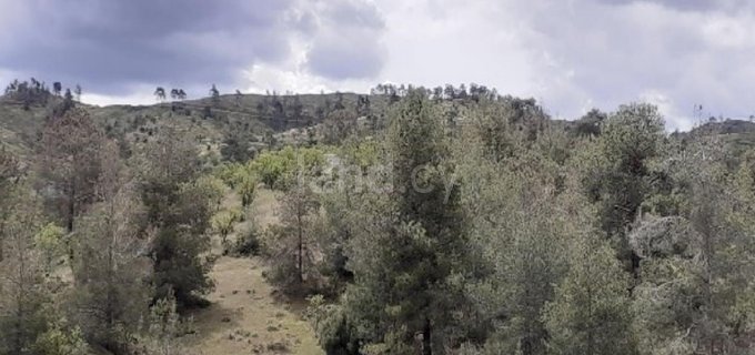 Landwirtschaftliches Baugebiet in Nicosia zu verkaufen