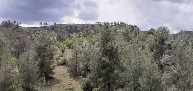 Agricultural field for sale in Nicosia