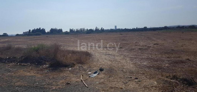 Agricultural plot for sale in Larnaca