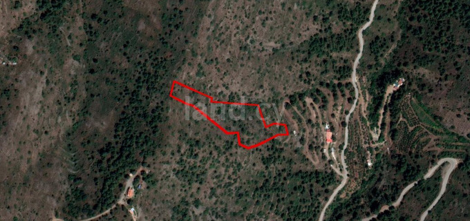 Plot for sale in Nicosia