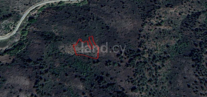 Agricultural plot for sale in Nicosia