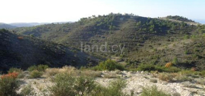 Agricultural plot for sale in Limassol