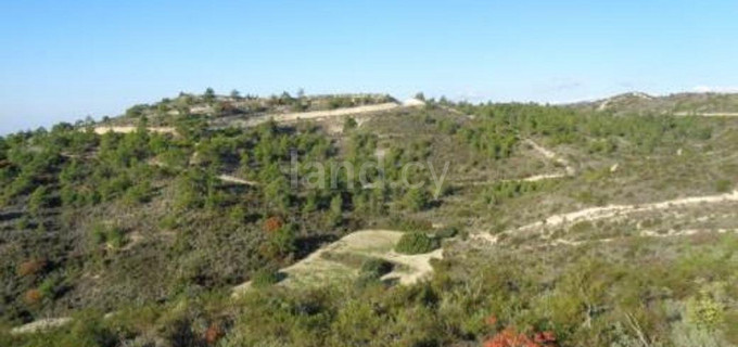 Agricultural plot for sale in Limassol