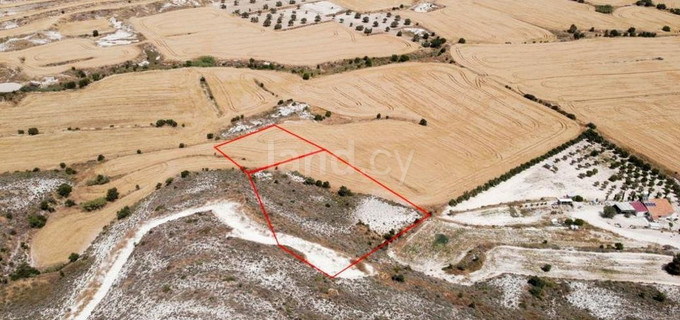 Agricultural plot for sale in Nicosia