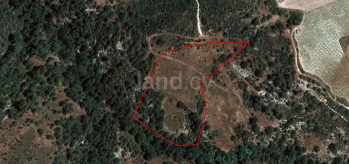 Agricultural plot for sale in Limassol