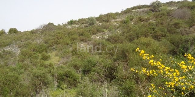 Plot for sale in Limassol