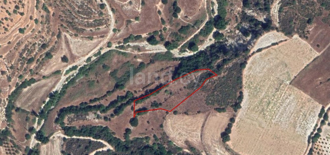 Agricultural plot for sale in Limassol