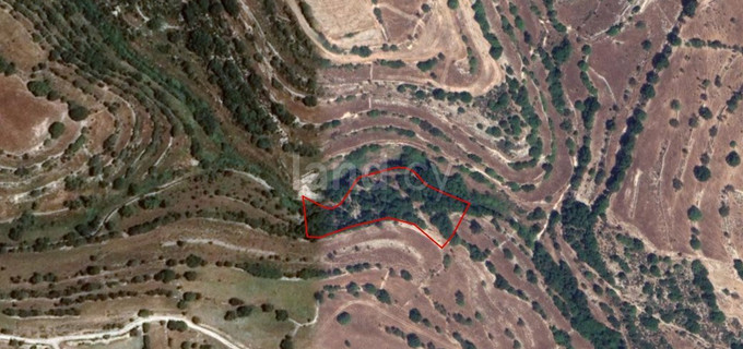 Agricultural plot for sale in Limassol