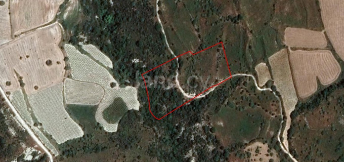 Agricultural plot for sale in Limassol