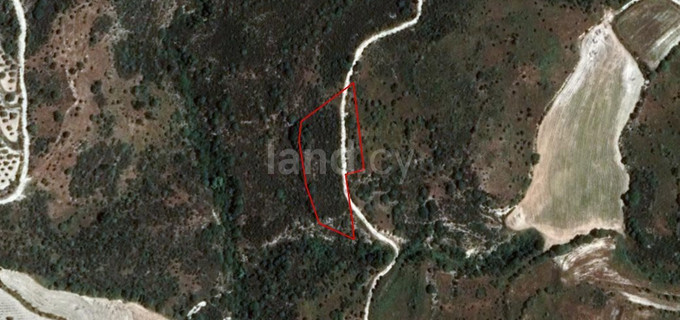 Agricultural plot for sale in Limassol