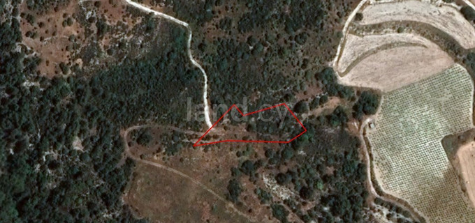 Agricultural plot for sale in Limassol