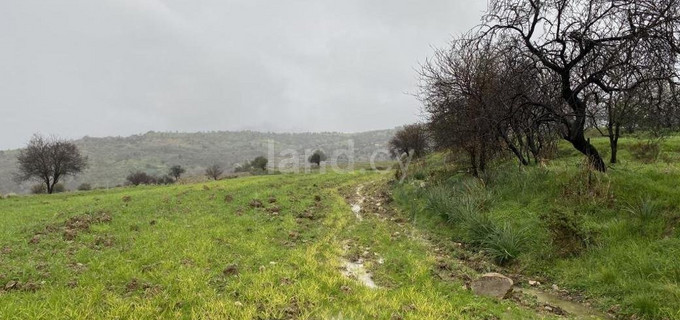 Wohnbaugrundstück in Paphos zu verkaufen