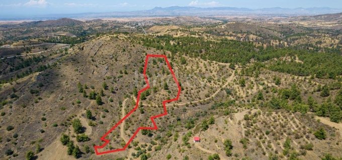 Plot for sale in Nicosia