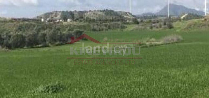 Agricultural field for sale in Larnaca