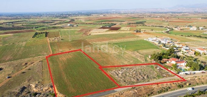 Plot for sale in Nicosia