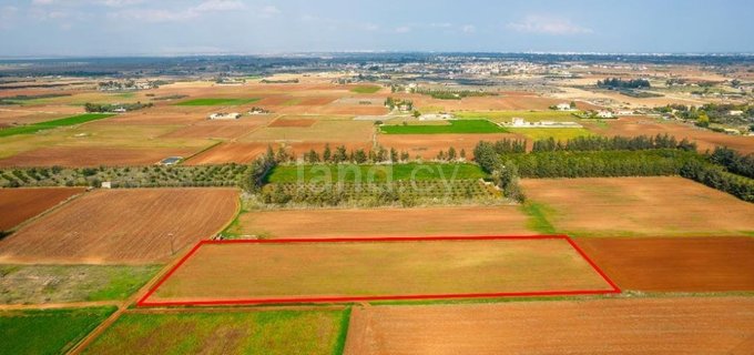 Plot for sale in Frenaros