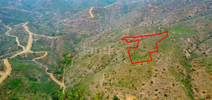 Plot for sale in Nicosia