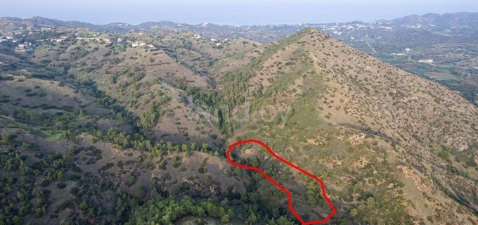 Plot for sale in Nicosia