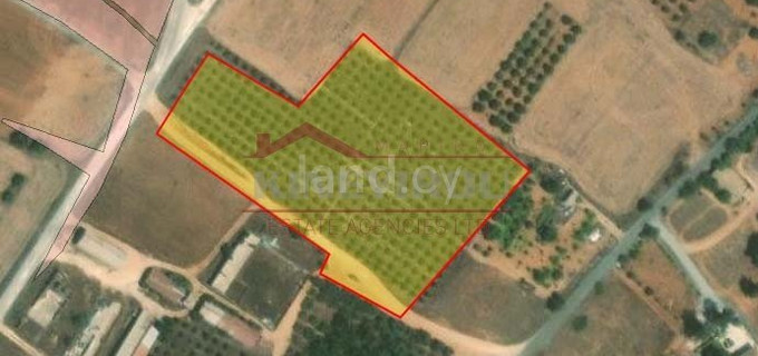 Agricultural field for sale in Avgorou