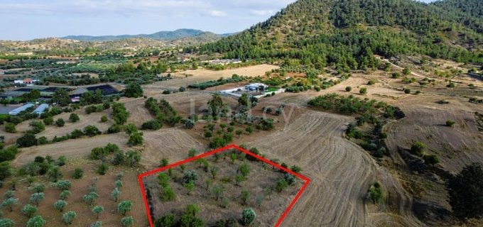 Plot for sale in Nicosia