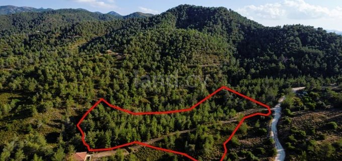 Plot for sale in Nicosia