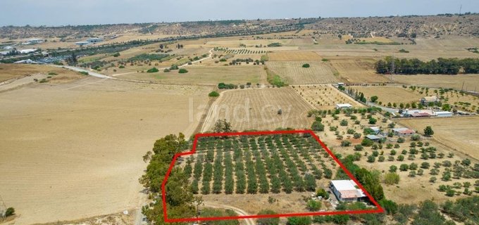 Plot for sale in Larnaca