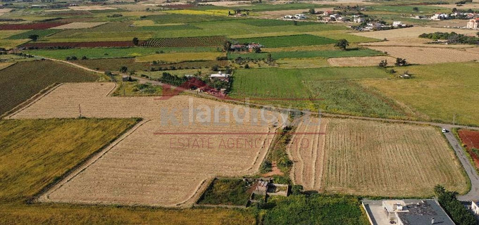 Residential field for sale in Avgorou