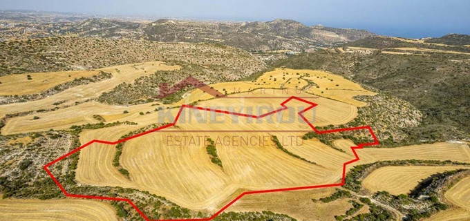 Agricultural field for sale in Larnaca