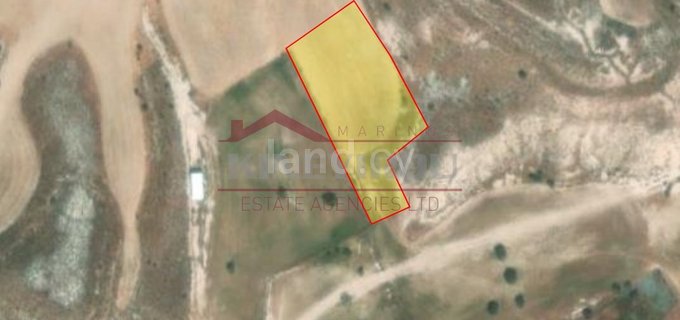 Agricultural field for sale in Nicosia