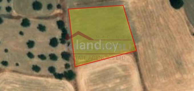 Landwirtschaftliches Grundstück in Nicosia zu verkaufen