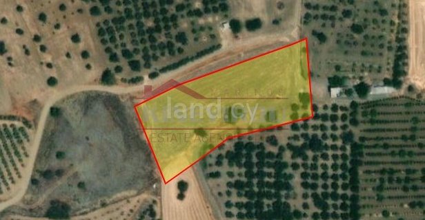 Agricultural plot for sale in Larnaca