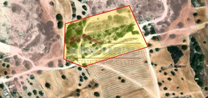 Agricultural field for sale in Larnaca